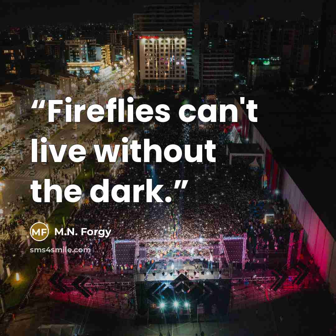 “Fireflies can't live without the dark.” quote by M.N. Forgy