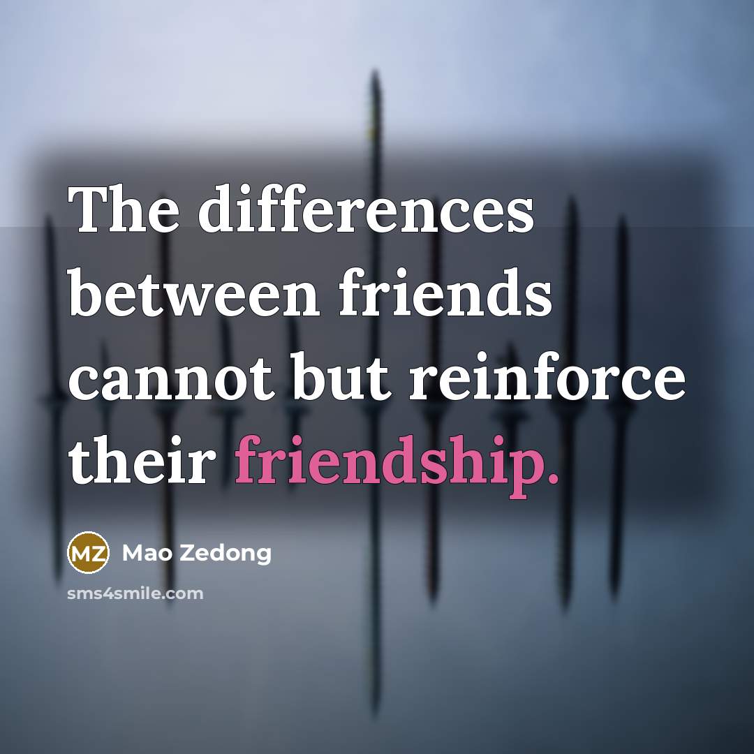 “The differences between friends cannot but reinforce their friendship.” quote by Mao Zedong