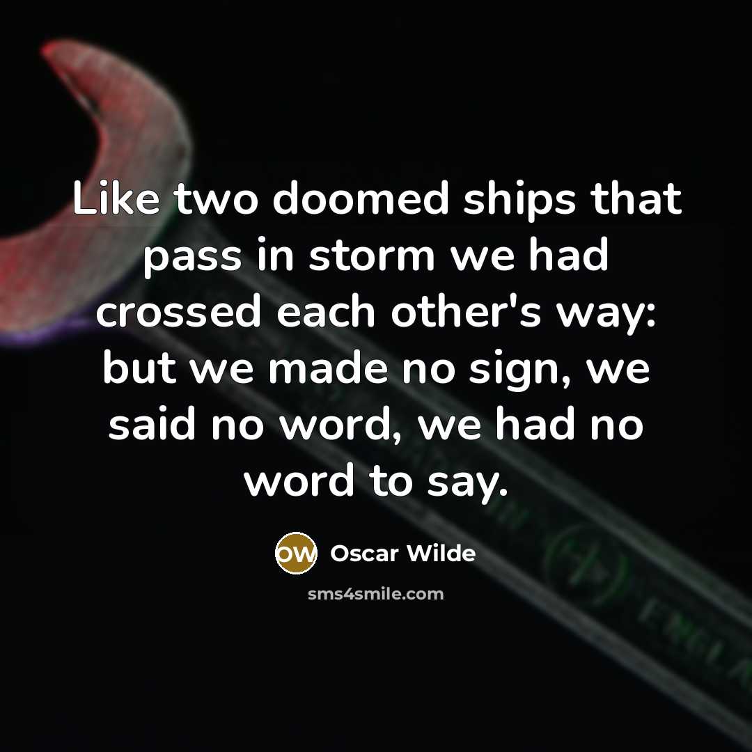 “Like two doomed ships that pass in storm we had crossed each other's way: but we made no sign, we said no word, we had no word to say.” quote by Oscar Wilde