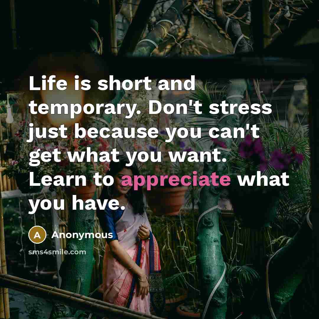 “Life is short and temporary. Don't stress just because you can't get what you want. Learn to appreciate what you have.” quote by Anonymous
