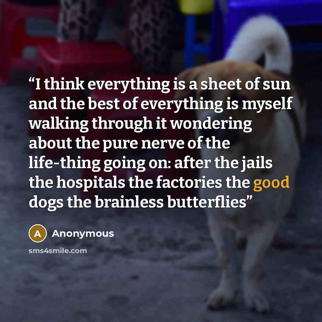 “I think everything is a sheet of sun and the best of everything is myself walking through it wondering about the pure nerve of the life-thing going on: after the jails the hospitals the factories the good dogs the brainless butterflies” quote by Anonymous