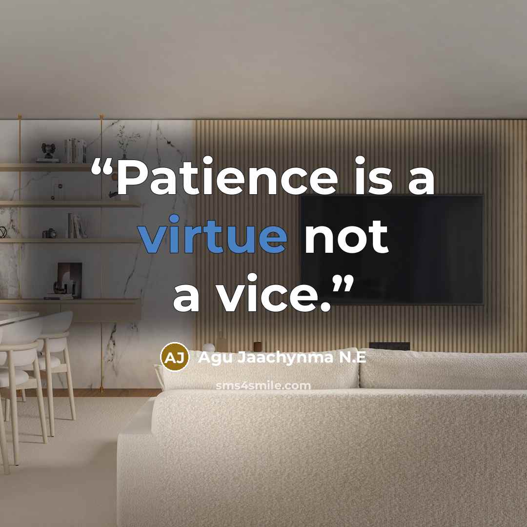 “Patience is a virtue not a vice.” quote by Agu Jaachynma N.E