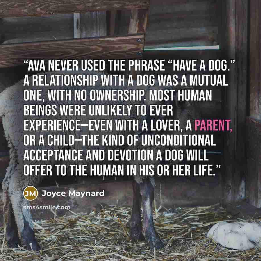 “Ava never used the phrase “have a dog.” A relationship with a dog was a mutual one, with no ownership. Most human beings were unlikely to ever experience—even with a lover, a parent, or a child—the kind of unconditional acceptance and devotion a dog will offer to the human in his or her life.” quote by Joyce Maynard