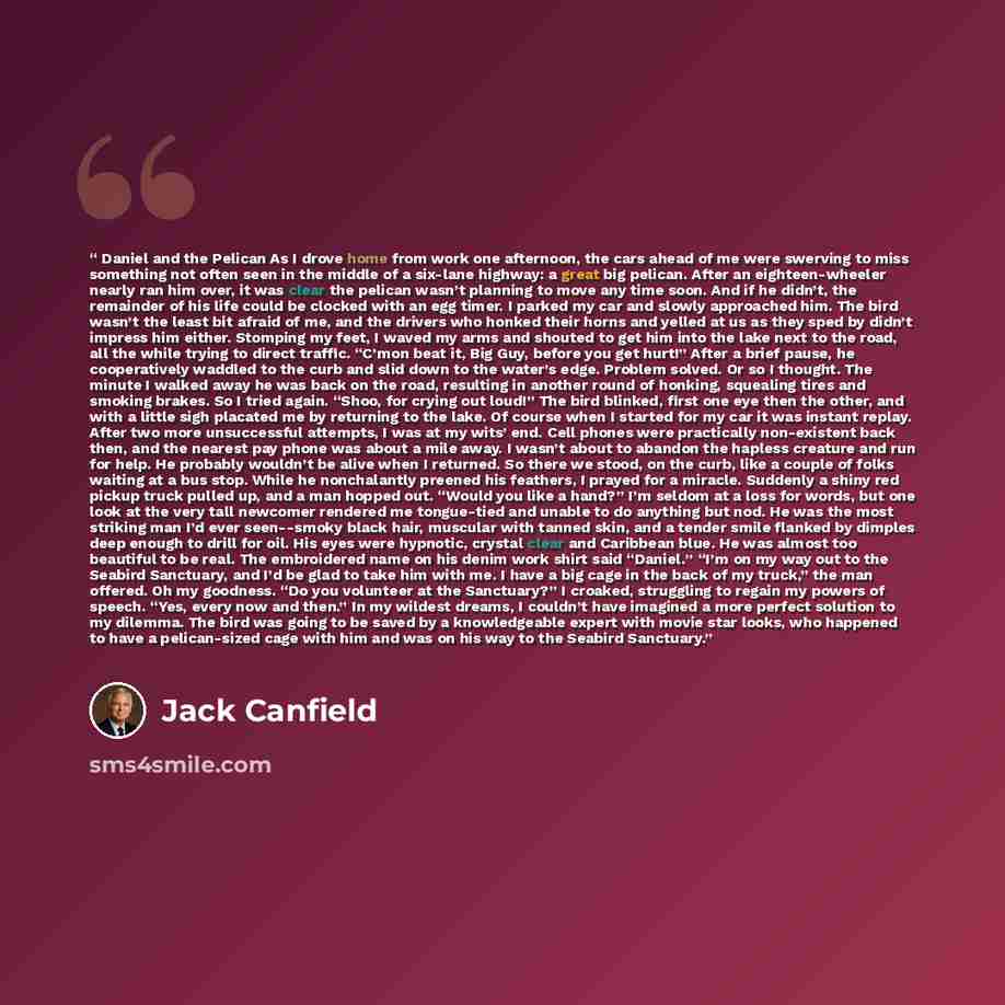 “Daniel and the Pelican As I drove home from work one afternoon, the cars ahead of me were swerving to miss something not often seen in the middle of a six-lane highway: a great big pelican. After an eighteen-wheeler nearly ran him over, it was clear the pelican wasn’t planning to move any time…” quote by Jack Canfield
