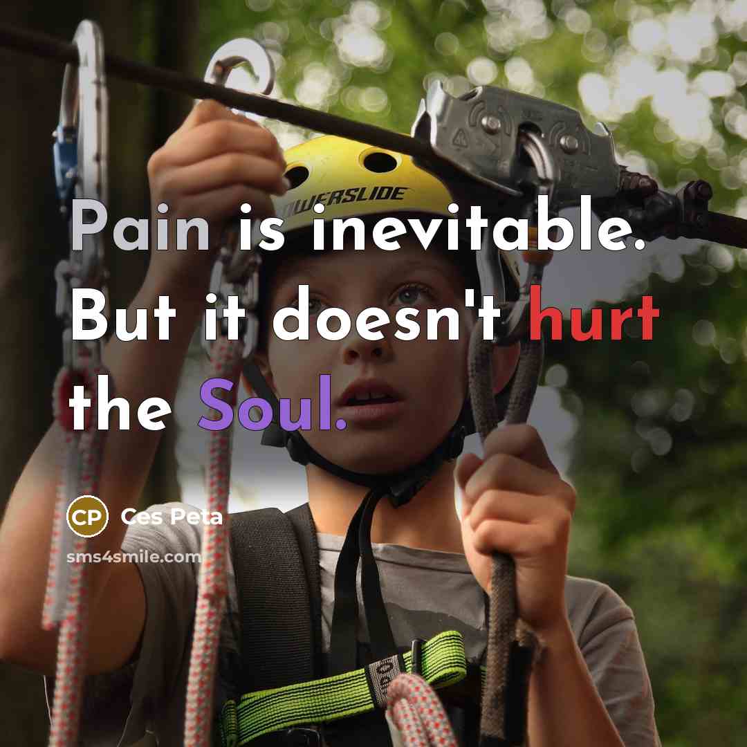 “Pain is inevitable. But it doesn't hurt the Soul.” quote by Ces Peta