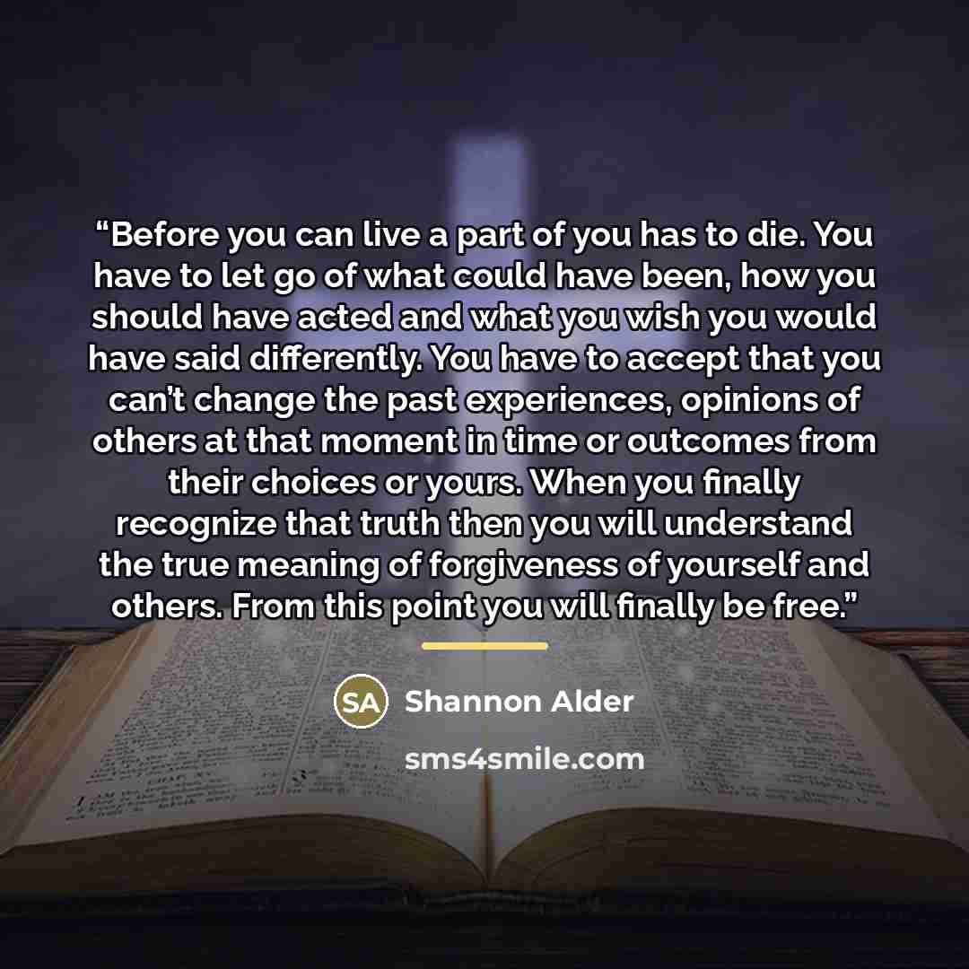 “Before you can live a part of you has to die. You have to let go of what could have been, how you should have acted and what you wish you would have said differently. You have to accept that you can’t change the past experiences, opinions of others at that moment in time or outcomes from their…” quote by Shannon Alder