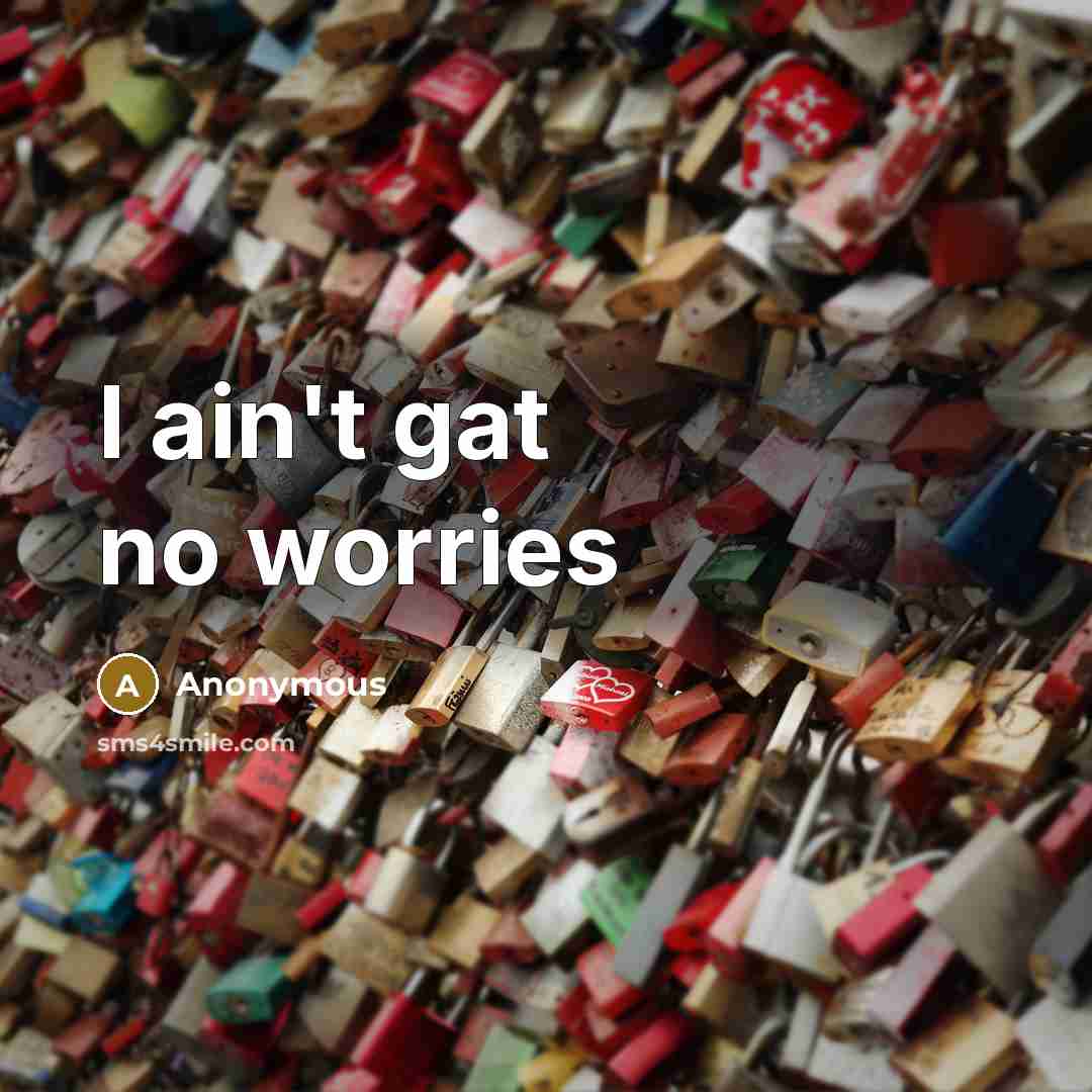 “I ain't gat no worries” quote by Anonymous