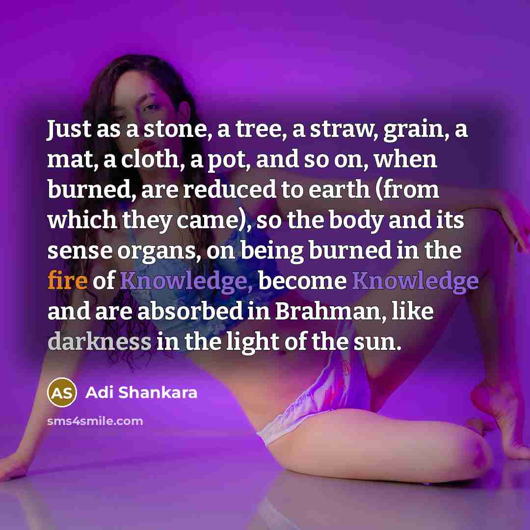 “Just as a stone, a tree, a straw, grain, a mat, a cloth, a pot, and so on, when burned, are reduced to earth (from which they came), so the body and its sense organs, on being burned in the fire of Knowledge, become Knowledge and are absorbed in Brahman, like darkness in the light of the sun.” quote by Adi Shankara