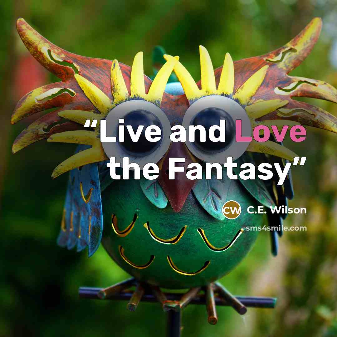 “Live and Love the Fantasy” quote by C.E. Wilson