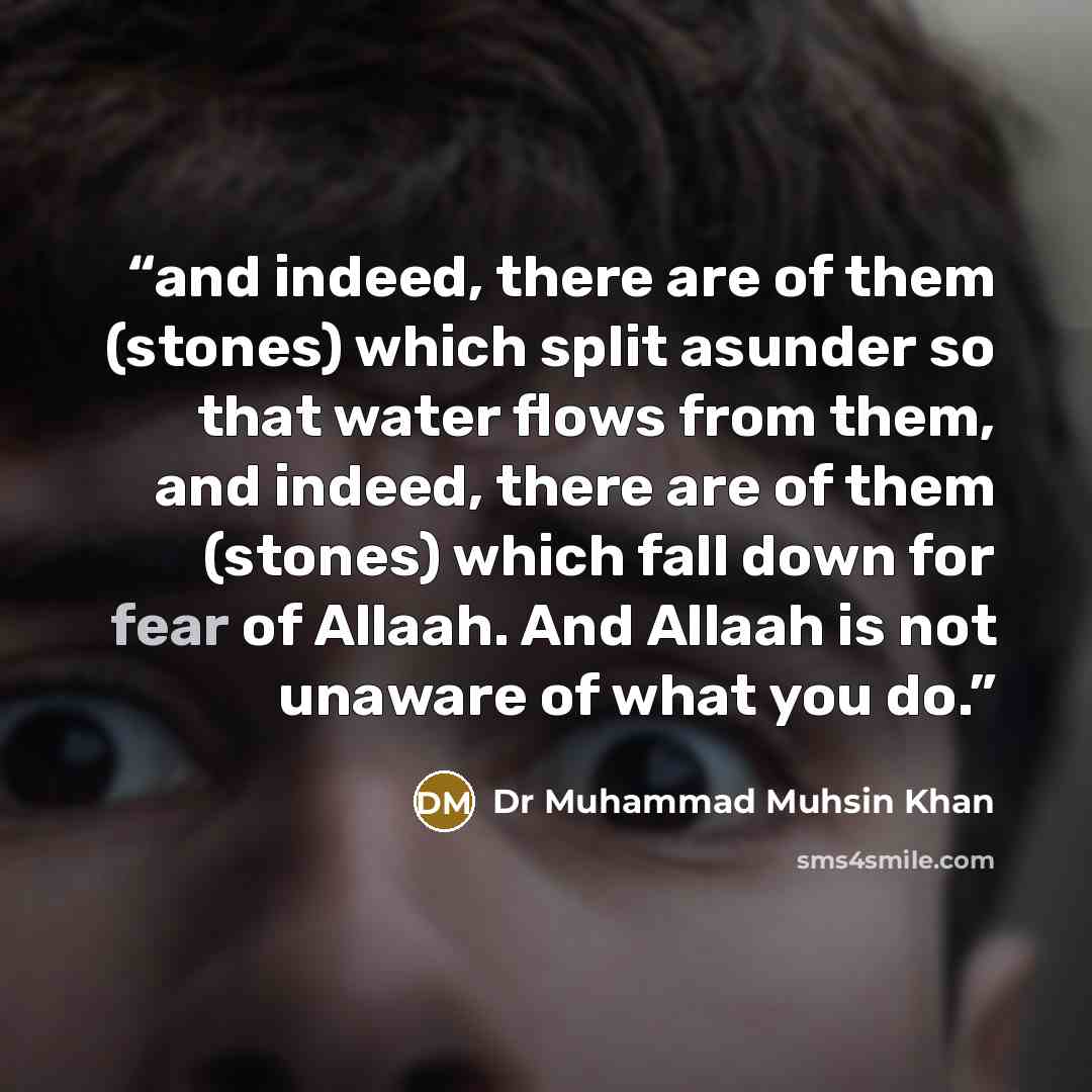 “and indeed, there are of them (stones) which split asunder so that water flows from them, and indeed, there are of them (stones) which fall down for fear of Allaah. And Allaah is not unaware of what you do.” quote by Dr Muhammad Muhsin Khan