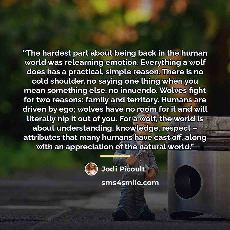 “The hardest part about being back in the human world was relearning emotion. Everything a wolf does has a practical, simple reason. There is no cold shoulder, no saying one thing when you mean something else, no innuendo. Wolves fight for two reasons: family and territory. Humans are driven by…” quote by Jodi Picoult