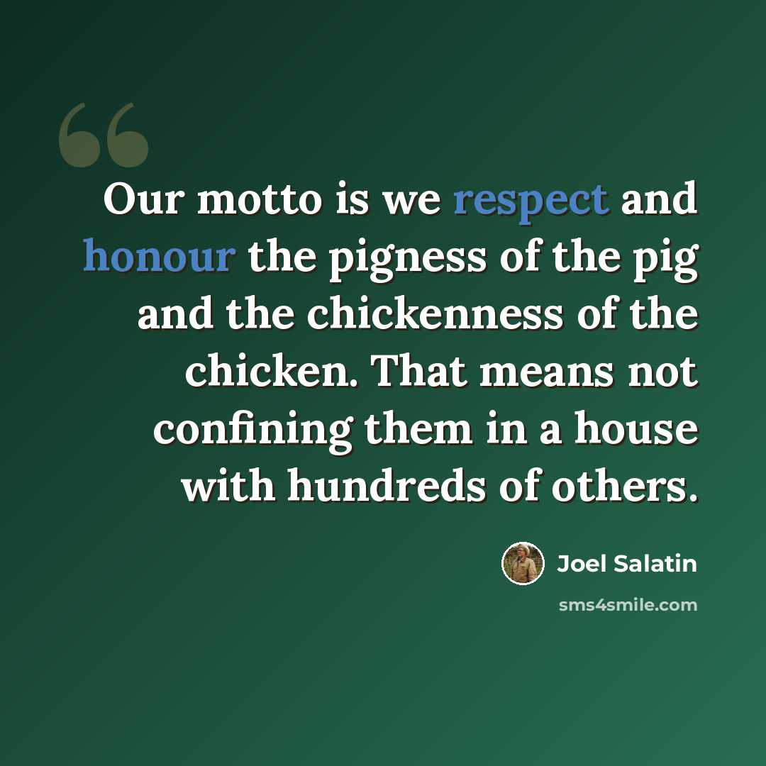 “Our motto is we respect and honour the pigness of the pig and the chickenness of the chicken. That means not confining them in a house with hundreds of others.” quote by Joel Salatin