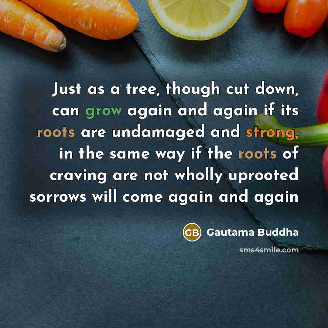 “Just as a tree, though cut down, can grow again and again if its roots are undamaged and strong, in the same way if the roots of craving are not wholly uprooted sorrows will come again and again” quote by Gautama Buddha