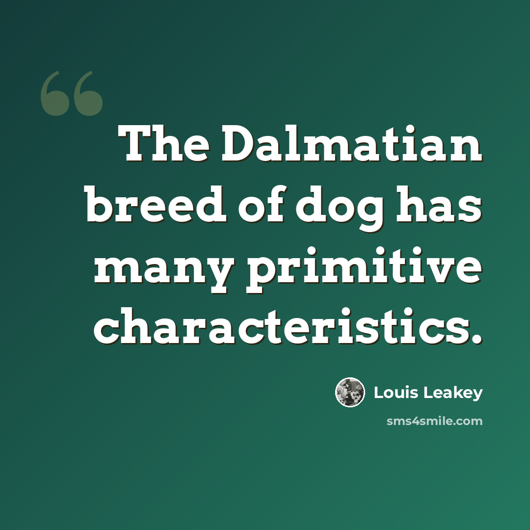 “The Dalmatian breed of dog has many primitive characteristics.” quote by Louis Leakey