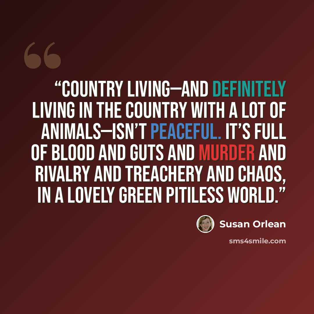 “Country living—and definitely living in the country with a lot of animals—isn’t peaceful. It’s full of blood and guts and murder and rivalry and treachery and chaos, in a lovely green pitiless world.” quote by Susan Orlean