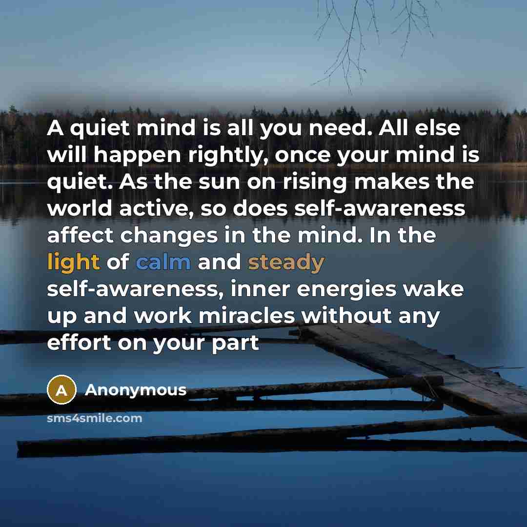 “A quiet mind is all you need. All else will happen rightly, once your mind is quiet. As the sun on rising makes the world active, so does self-awareness affect changes in the mind. In the light of calm and steady self-awareness, inner energies wake up and work miracles without any effort on your…” quote by Anonymous