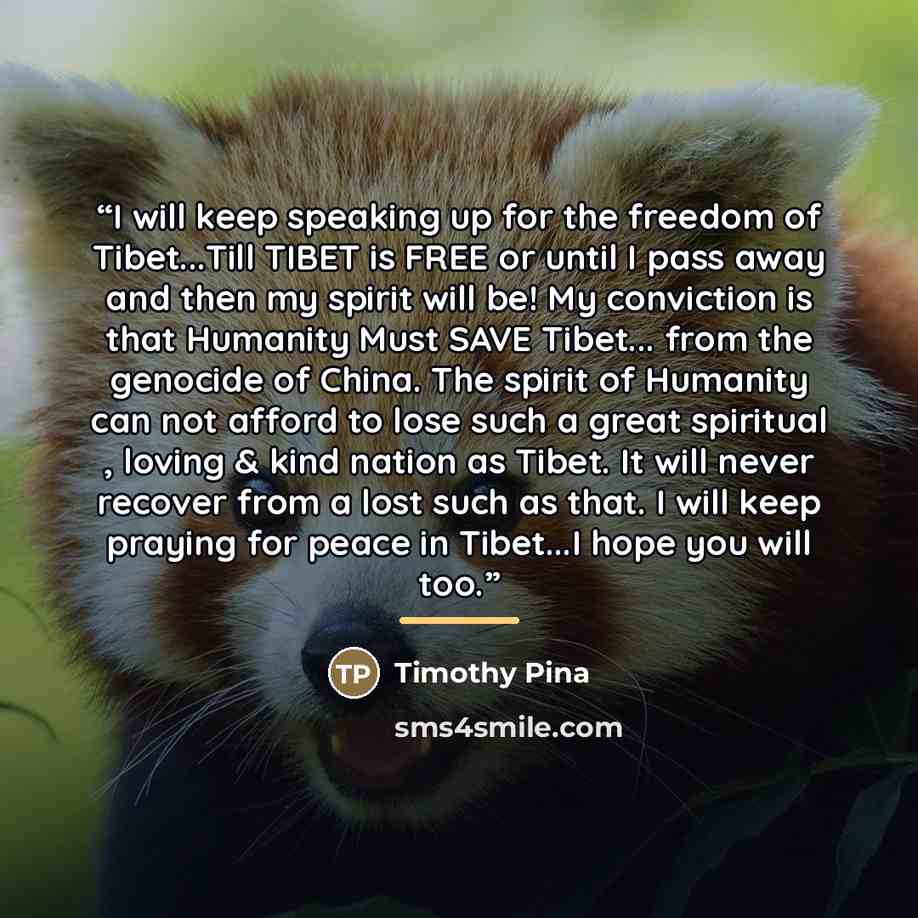 “I will keep speaking up for the freedom of Tibet...Till TIBET is FREE or until I pass away and then my spirit will be! My conviction is that Humanity Must SAVE Tibet... from the genocide of China. The spirit of Humanity can not afford to lose such a great spiritual , loving & kind nation as Tibet…” quote by Timothy Pina