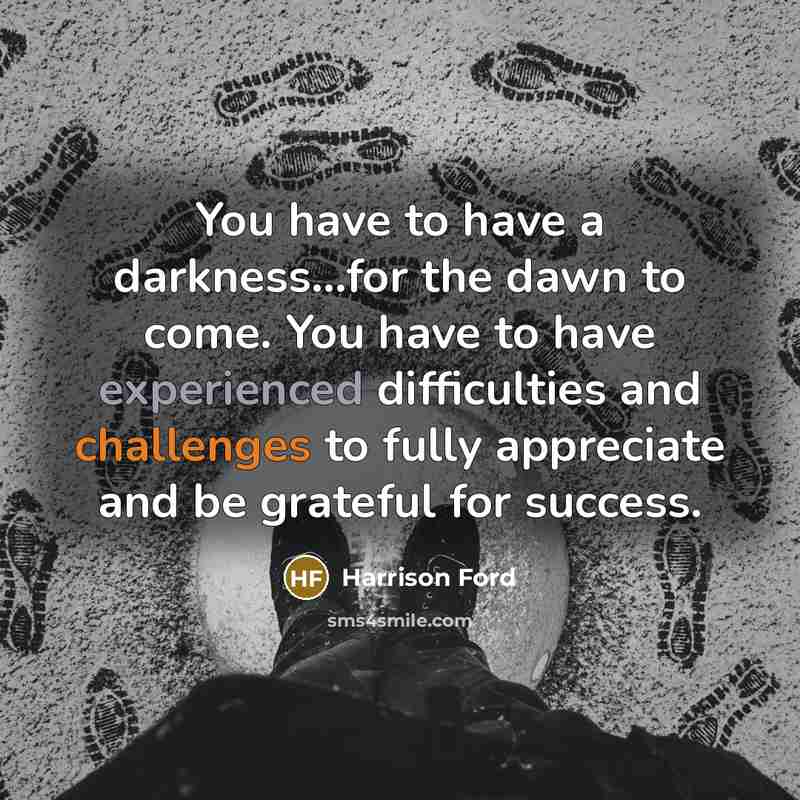 “You have to have a darkness...for the dawn to come. You have to have experienced difficulties and challenges to fully appreciate and be grateful for success.” quote by Harrison Ford