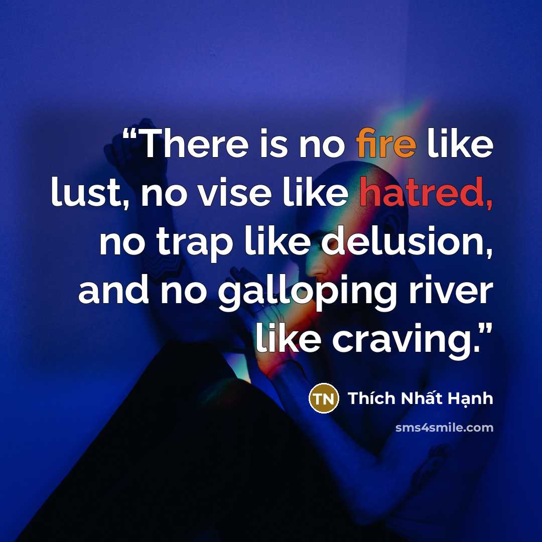 “There is no fire like lust, no vise like hatred, no trap like delusion, and no galloping river like craving.” quote by Thích Nhất Hạnh