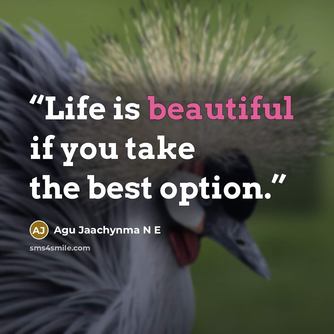 “Life is beautiful if you take the best option.” quote by Agu Jaachynma N E