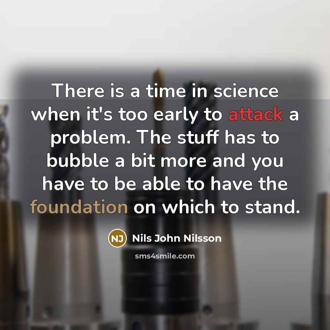 “There is a time in science when it's too early to attack a problem. The stuff has to bubble a bit more and you have to be able to have the foundation on which to stand.” quote by Nils John Nilsson