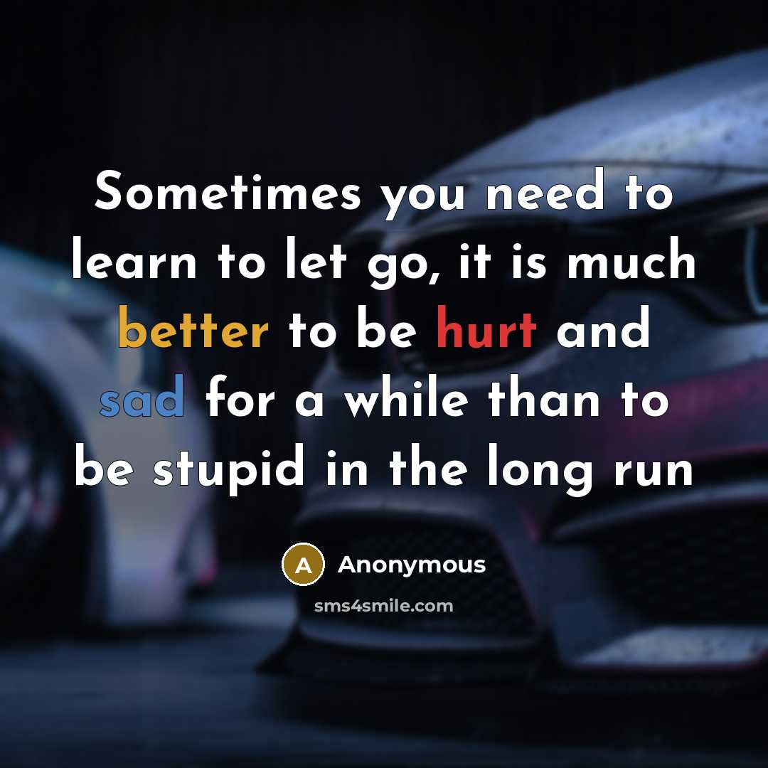 “Sometimes you need to learn to let go, it is much better to be hurt and sad for a while than to be stupid in the long run” quote by Anonymous