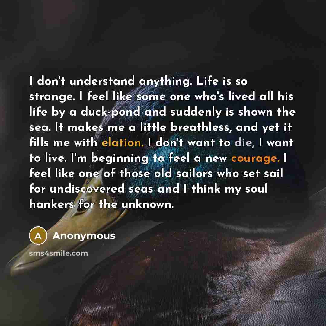 “I don't understand anything. Life is so strange. I feel like some one who's lived all his life by a duck-pond and suddenly is shown the sea. It makes me a little breathless, and yet it fills me with elation. I don't want to die, I want to live. I'm beginning to feel a new courage. I feel like one…” quote by Anonymous