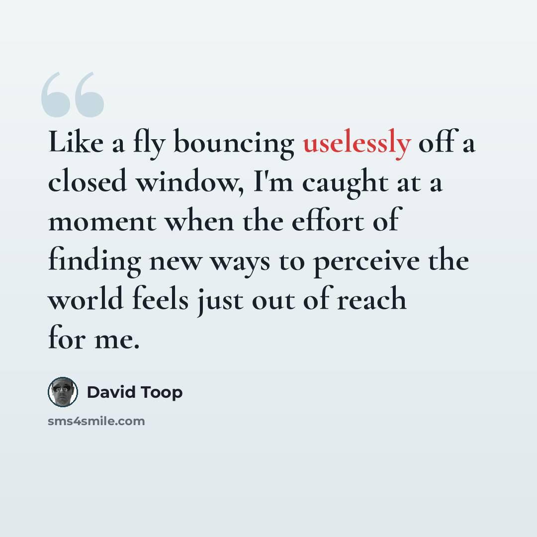 “Like a fly bouncing uselessly off a closed window, I'm caught at a moment when the effort of finding new ways to perceive the world feels just out of reach for me.” quote by David Toop
