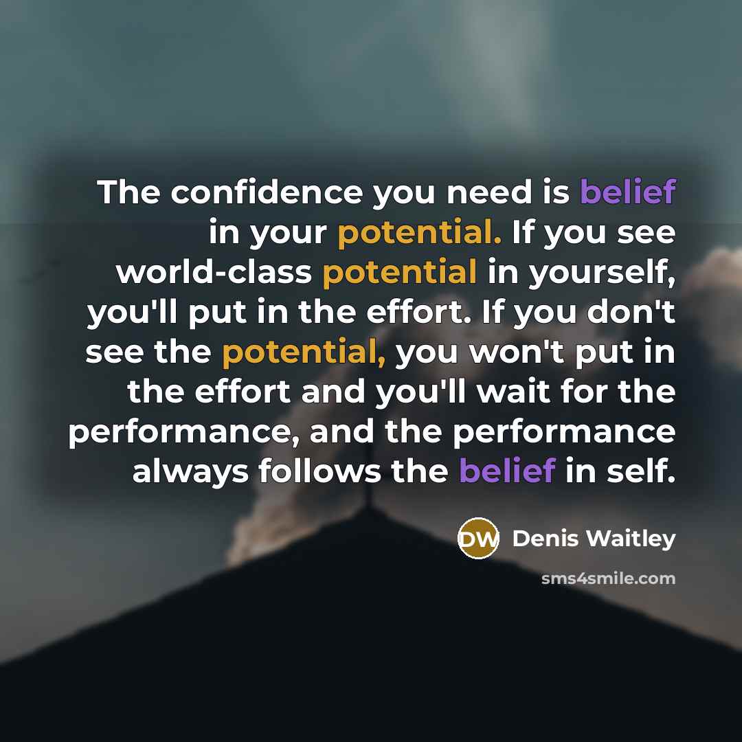 “The confidence you need is belief in your potential. If you see world-class potential in yourself, you'll put in the effort. If you don't see the potential, you won't put in the effort and you'll wait for the performance, and the performance always follows the belief in self.” quote by Denis Waitley