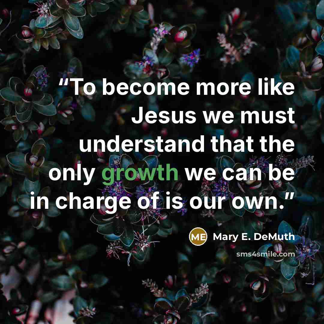 “To become more like Jesus we must understand that the only growth we can be in charge of is our own.” quote by Mary E. DeMuth