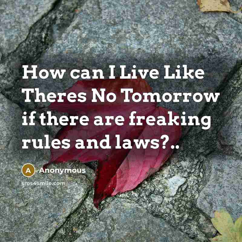 “How can I Live Like Theres No Tomorrow if there are freaking rules and laws?..” quote by Anonymous