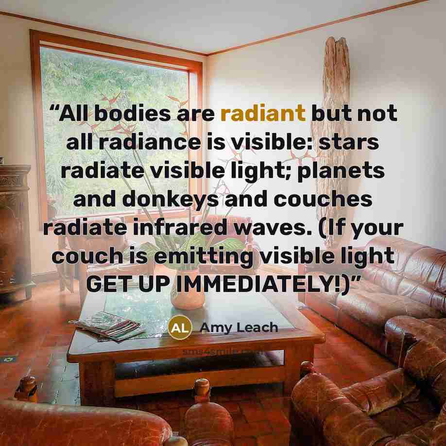 “All bodies are radiant but not all radiance is visible: stars radiate visible light; planets and donkeys and couches radiate infrared waves. (If your couch is emitting visible light GET UP IMMEDIATELY!)” quote by Amy Leach