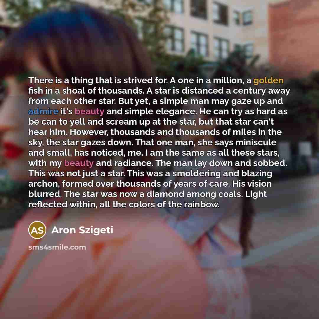 “There is a thing that is strived for. A one in a million, a golden fish in a shoal of thousands. A star is distanced a century away from each other star. But yet, a simple man may gaze up and admire it's beauty and simple elegance. He can try as hard as be can to yell and scream up at the star…” quote by Aron Szigeti