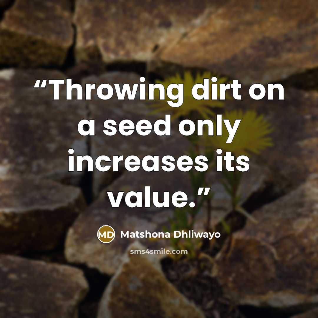“Throwing dirt on a seed only increases its value.” quote by Matshona Dhliwayo