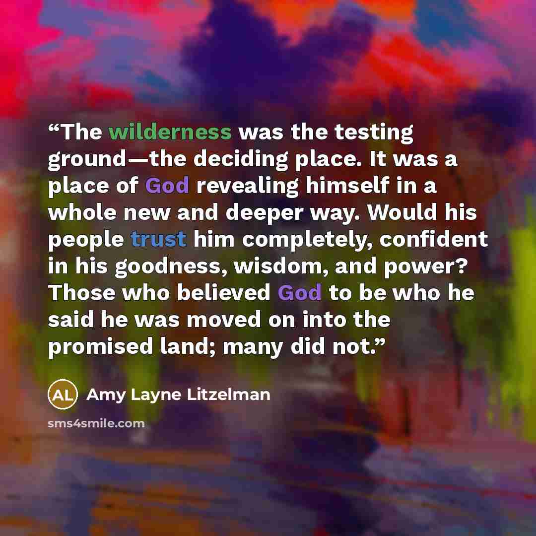 “The wilderness was the testing ground—the deciding place. It was a place of God revealing himself in a whole new and deeper way. Would his people trust him completely, confident in his goodness, wisdom, and power? Those who believed God to be who he said he was moved on into the promised land…” quote by Amy Layne Litzelman