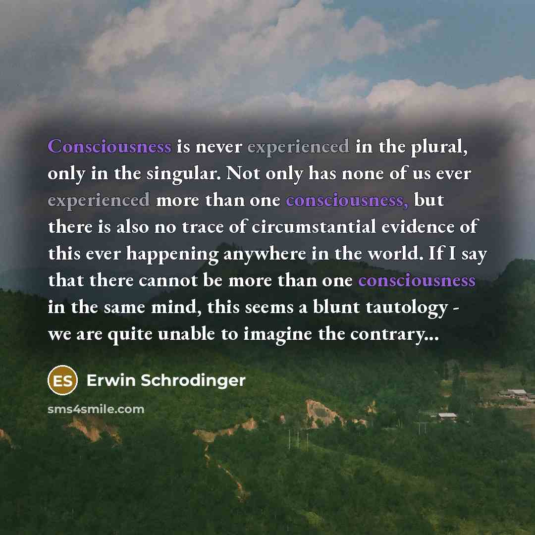 “Consciousness is never experienced in the plural, only in the singular. Not only has none of us ever experienced more than one consciousness, but there is also no trace of circumstantial evidence of this ever happening anywhere in the world. If I say that there cannot be more than one…” quote by Erwin Schrodinger