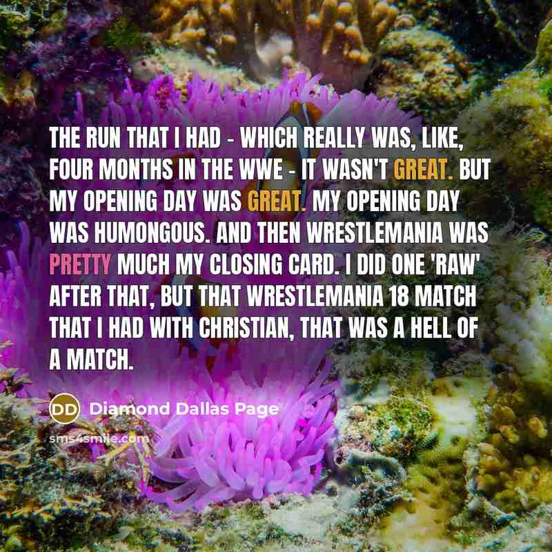 “The run that I had - which really was, like, four months in the WWE - it wasn't great. But my opening day was great. My opening day was humongous. And then WrestleMania was pretty much my closing card. I did one 'Raw' after that, but that WrestleMania 18 match that I had with Christian, that was a…” quote by Diamond Dallas Page