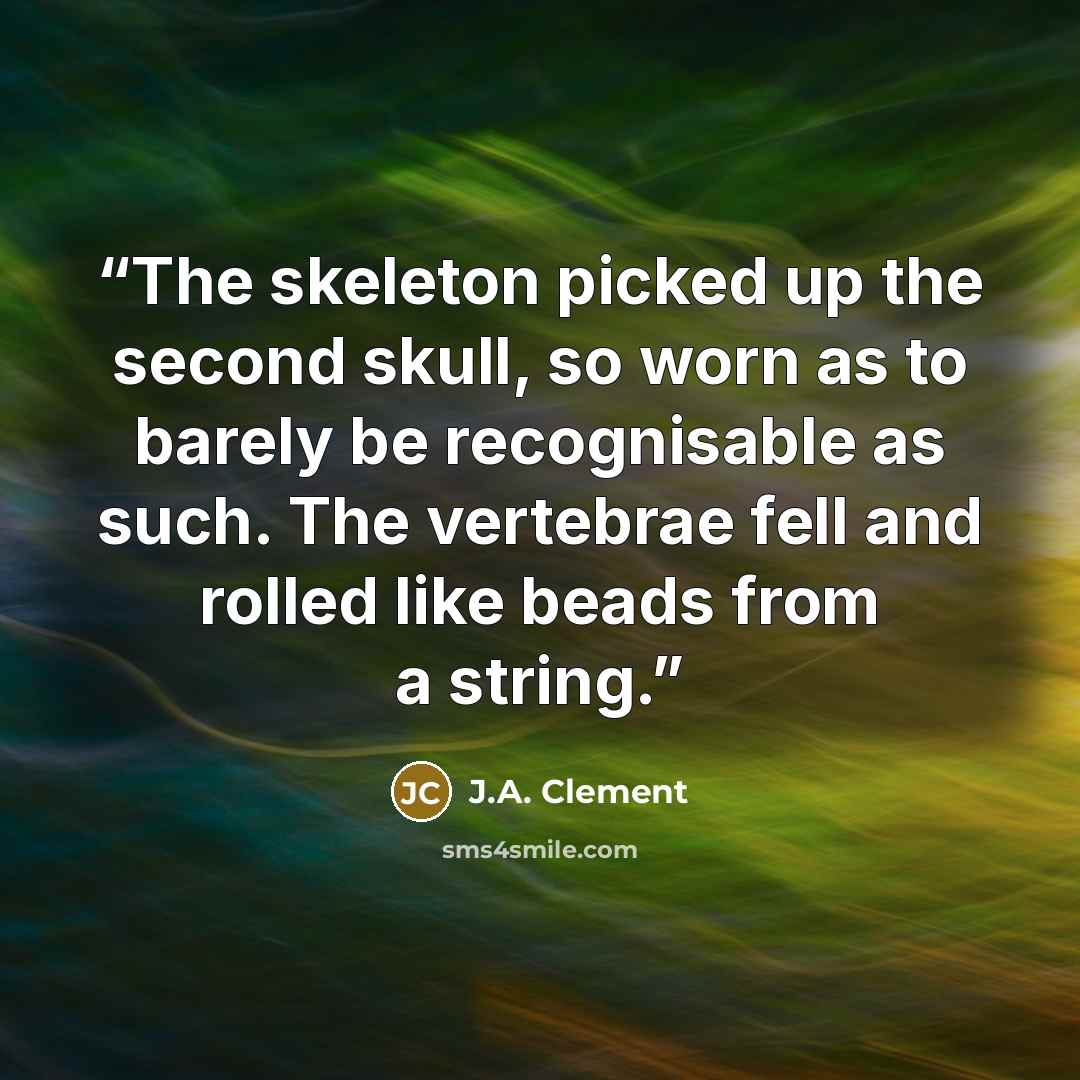“The skeleton picked up the second skull, so worn as to barely be recognisable as such. The vertebrae fell and rolled like beads from a string.” quote by J.A. Clement