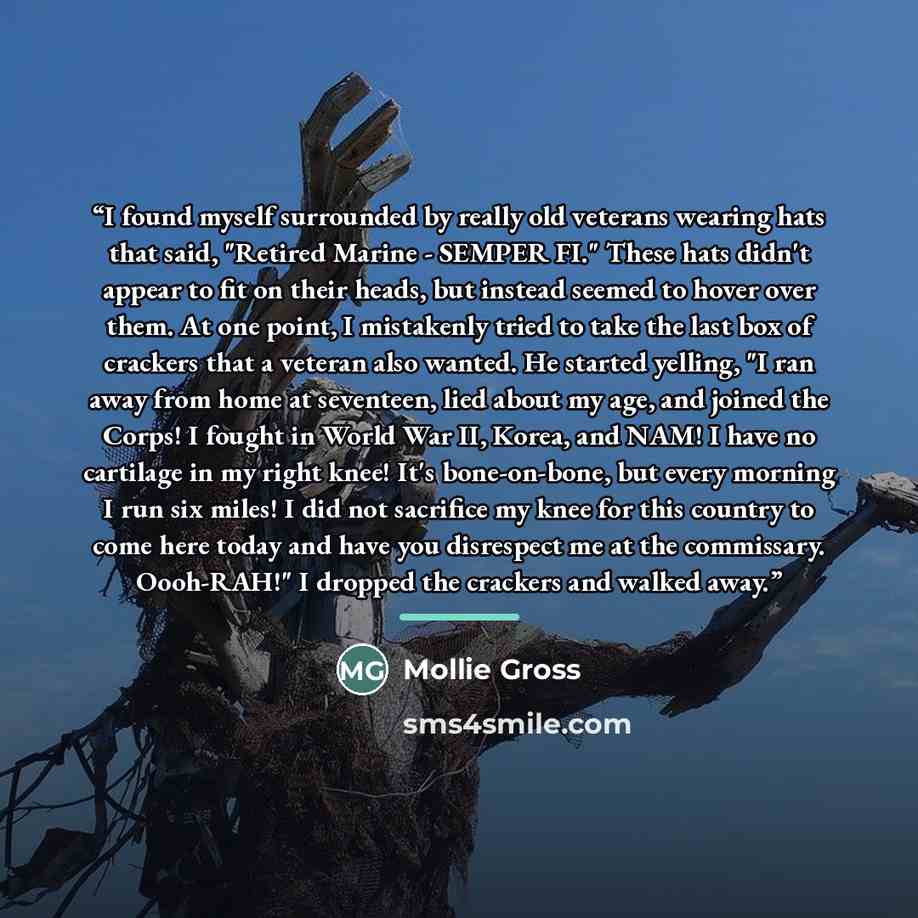 “I found myself surrounded by really old veterans wearing hats that said, "Retired Marine - SEMPER FI." These hats didn't appear to fit on their heads, but instead seemed to hover over them. At one point, I mistakenly tried to take the last box of crackers that a veteran also wanted. He started…” quote by Mollie Gross