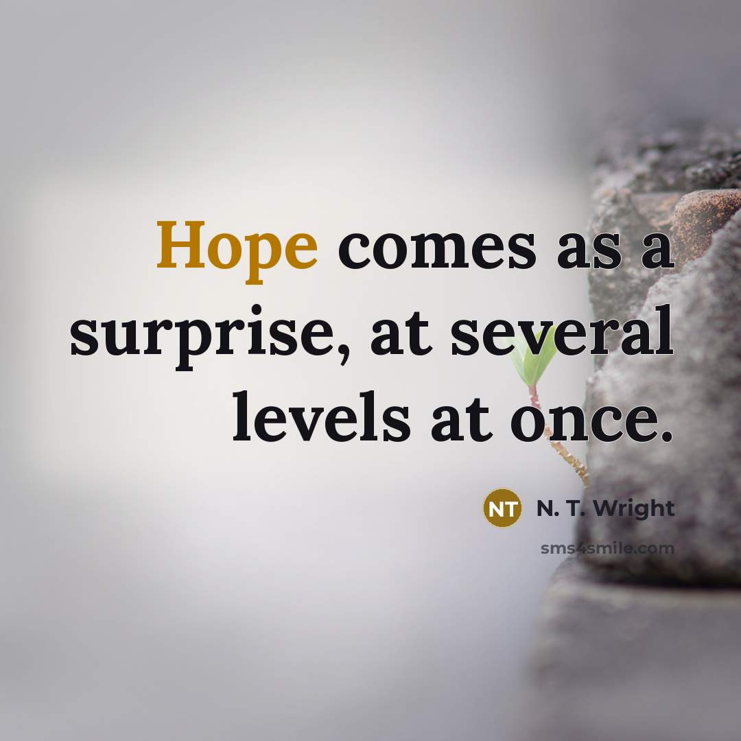 “Hope comes as a surprise, at several levels at once.” quote by N. T. Wright