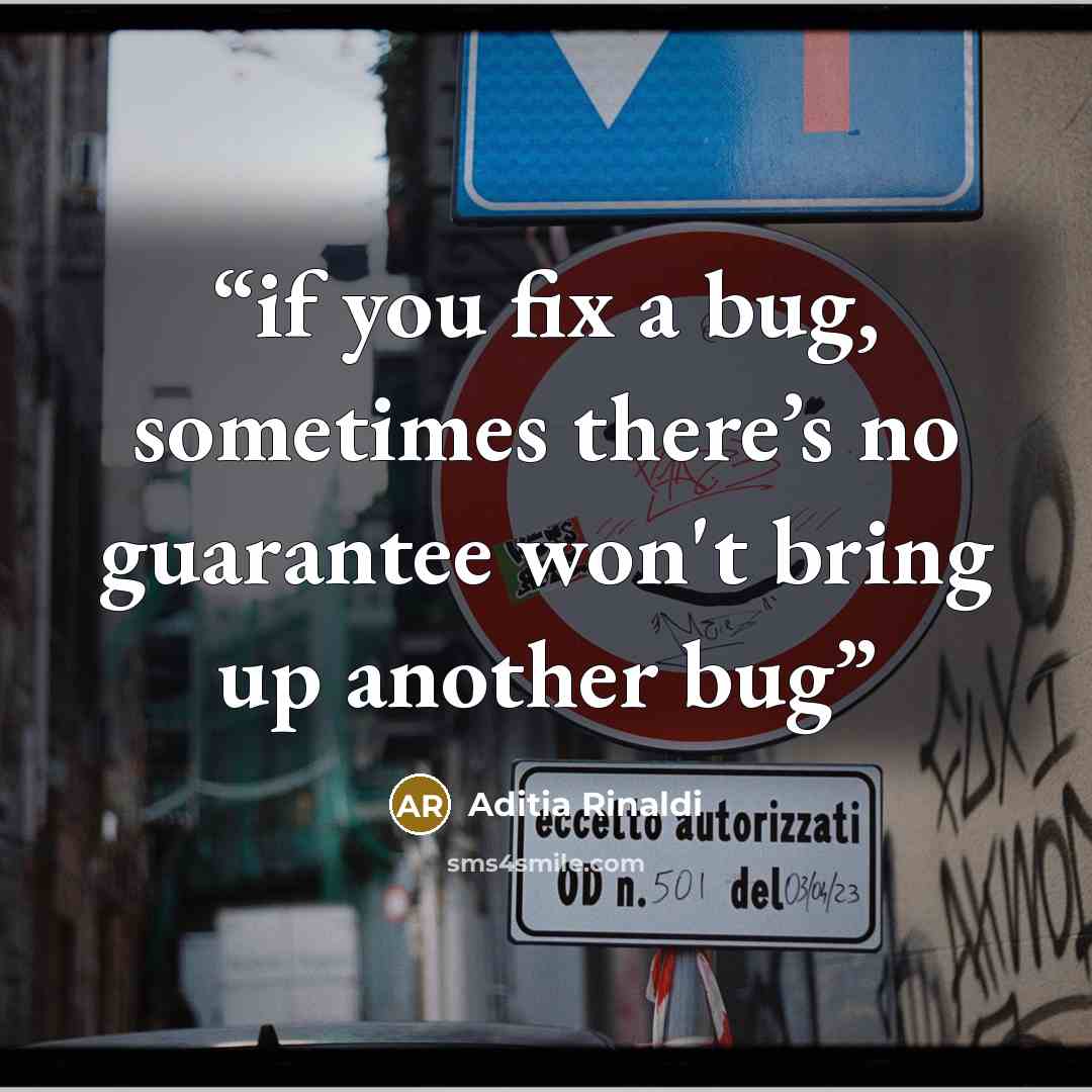 “if you fix a bug, sometimes there’s no guarantee won't bring up another bug” quote by Aditia Rinaldi