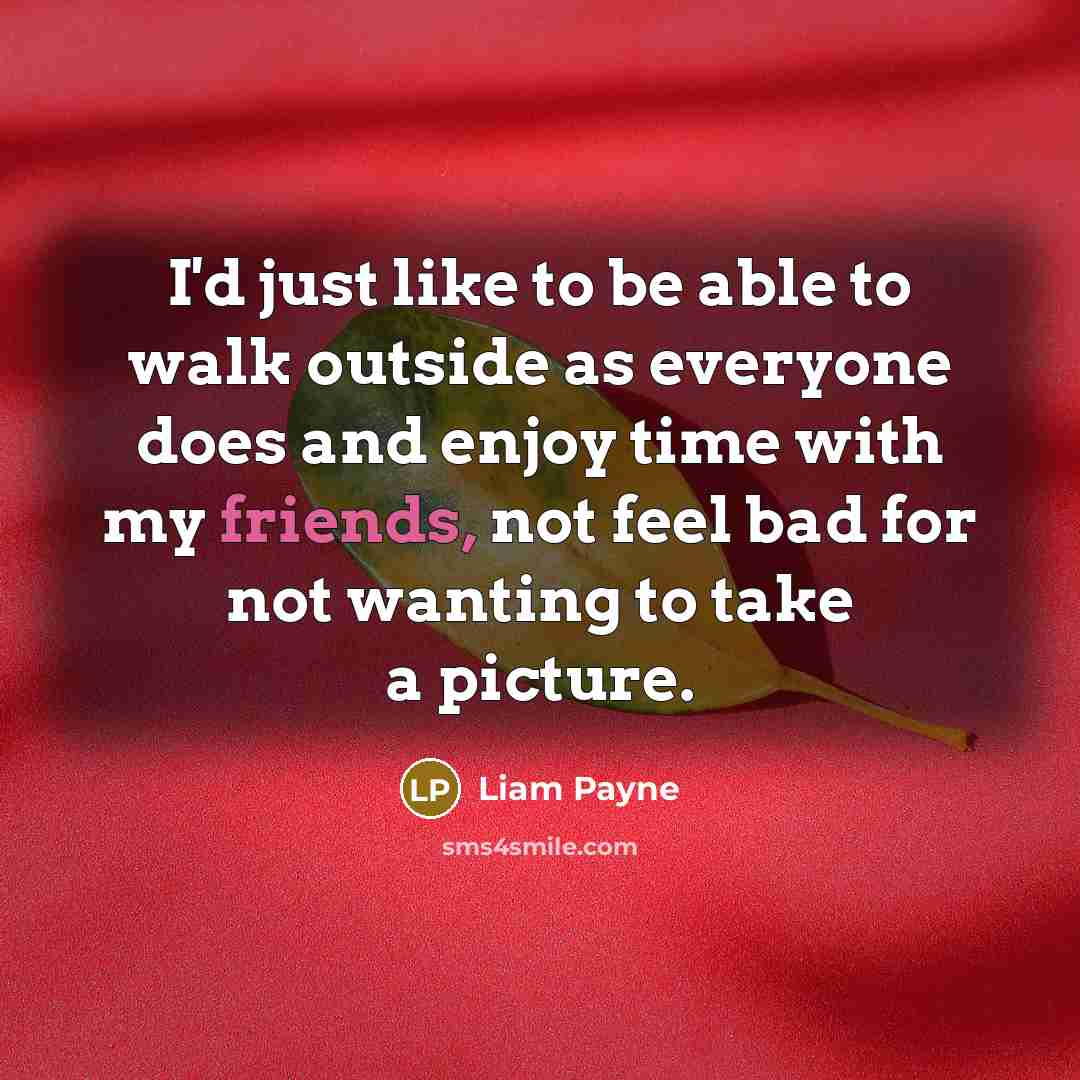“I'd just like to be able to walk outside as everyone does and enjoy time with my friends, not feel bad for not wanting to take a picture.” quote by Liam Payne
