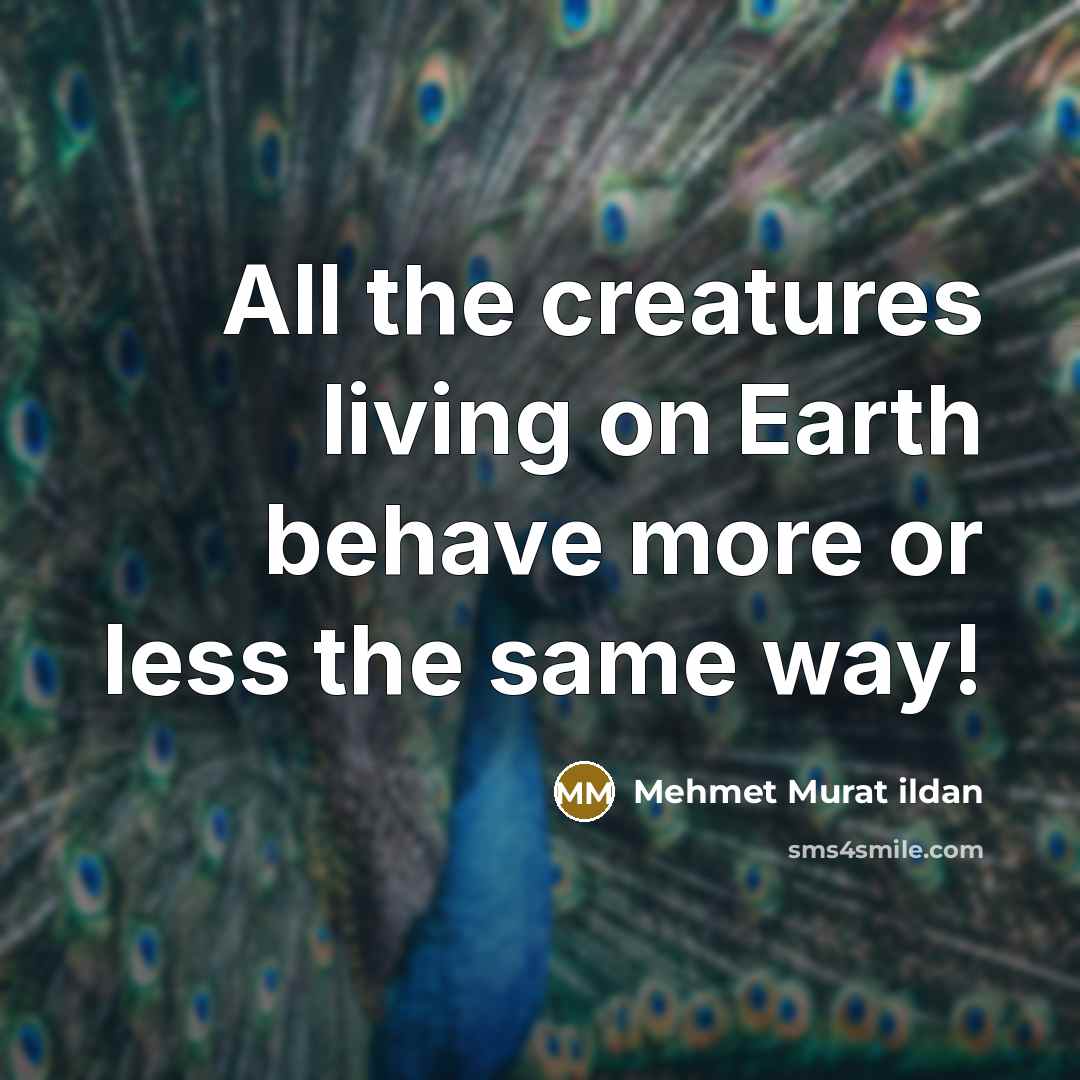 “All the creatures living on Earth behave more or less the same way!” quote by Mehmet Murat Ildan