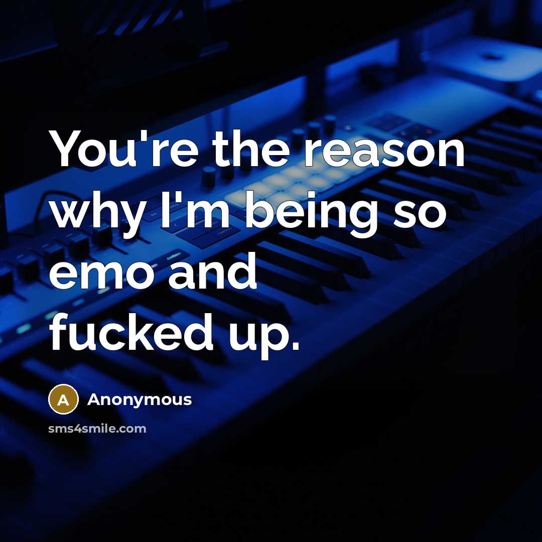 “You're the reason why I'm being so emo and fucked up.” quote by Anonymous