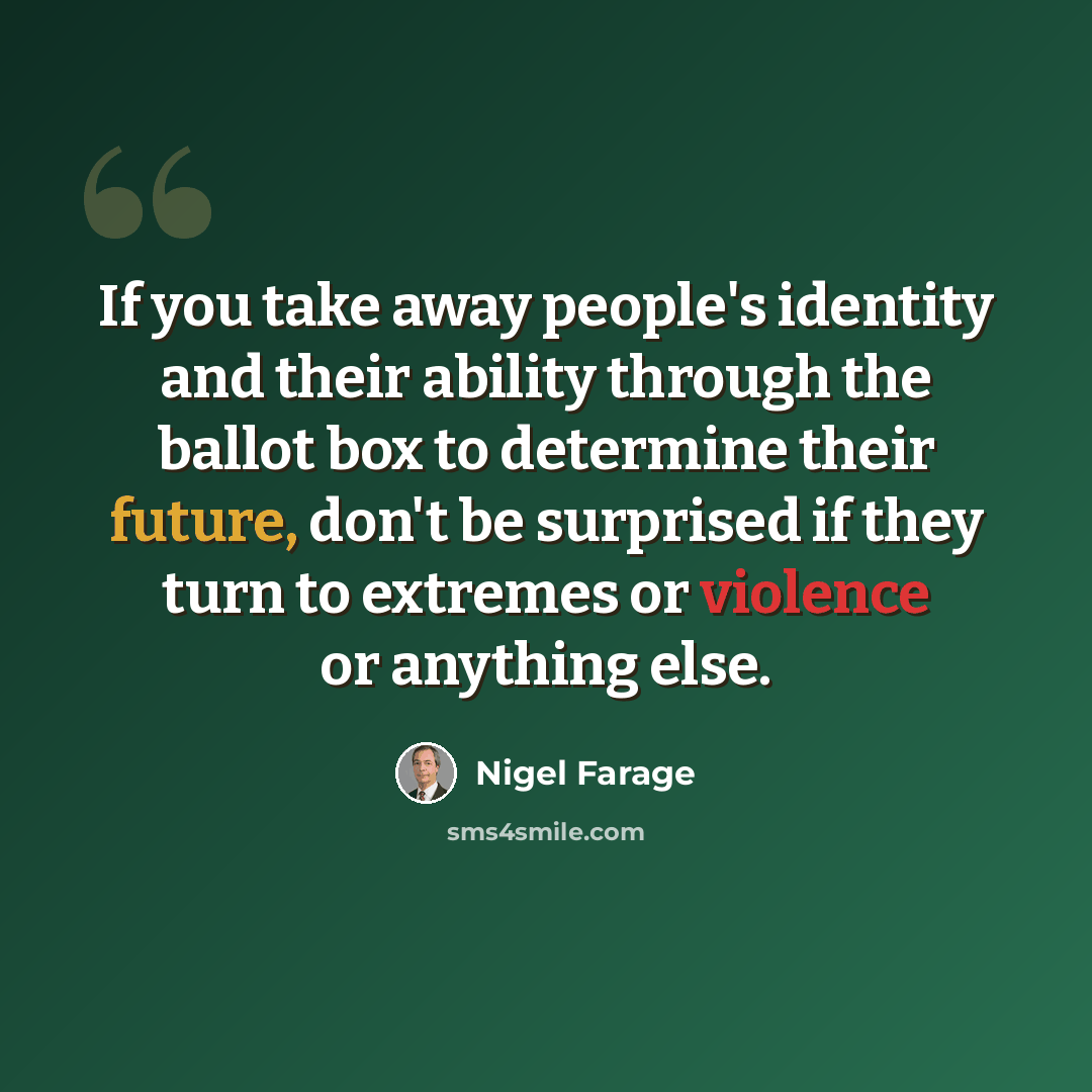 “If you take away people's identity and their ability through the ballot box to determine their future, don't be surprised if they turn to extremes or violence or anything else.” quote by Nigel Farage