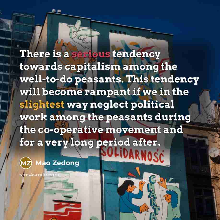 “There is a serious tendency towards capitalism among the well-to-do peasants. This tendency will become rampant if we in the slightest way neglect political work among the peasants during the co-operative movement and for a very long period after.” quote by Mao Zedong