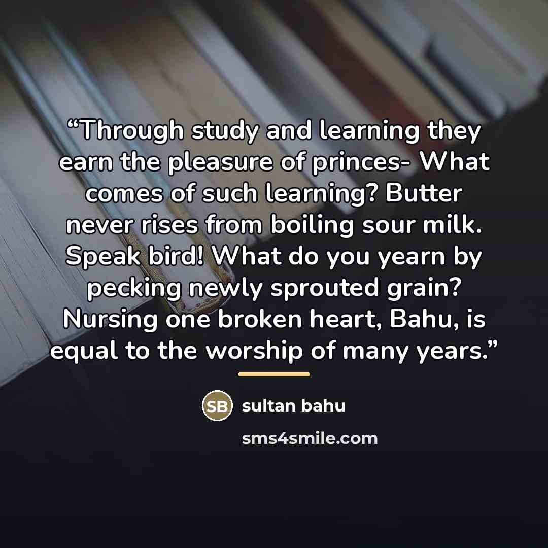 “Through study and learning they earn the pleasure of princes- What comes of such learning? Butter never rises from boiling sour milk. Speak bird! What do you yearn by pecking newly sprouted grain? Nursing one broken heart, Bahu, is equal to the worship of many years.” quote by Sultan Bahu