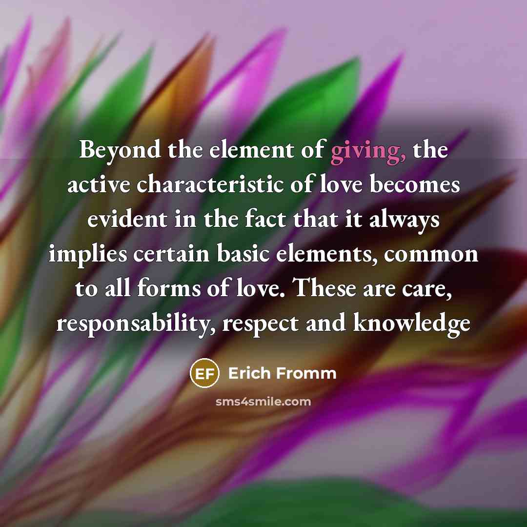 “Beyond the element of giving, the active characteristic of love becomes evident in the fact that it always implies certain basic elements, common to all forms of love. These are care, responsability, respect and knowledge” quote by Erich Fromm
