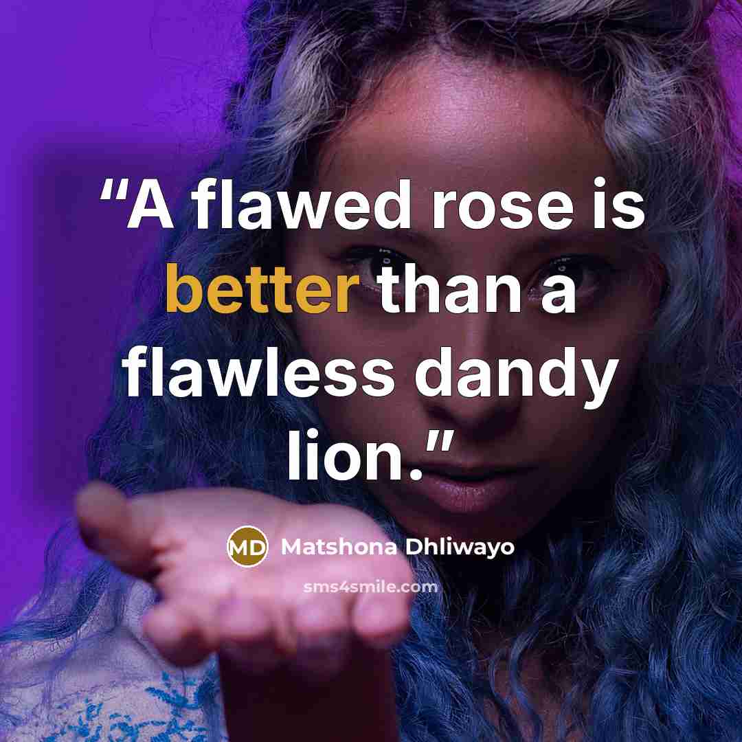 “A flawed rose is better than a flawless dandy lion.” quote by Matshona Dhliwayo