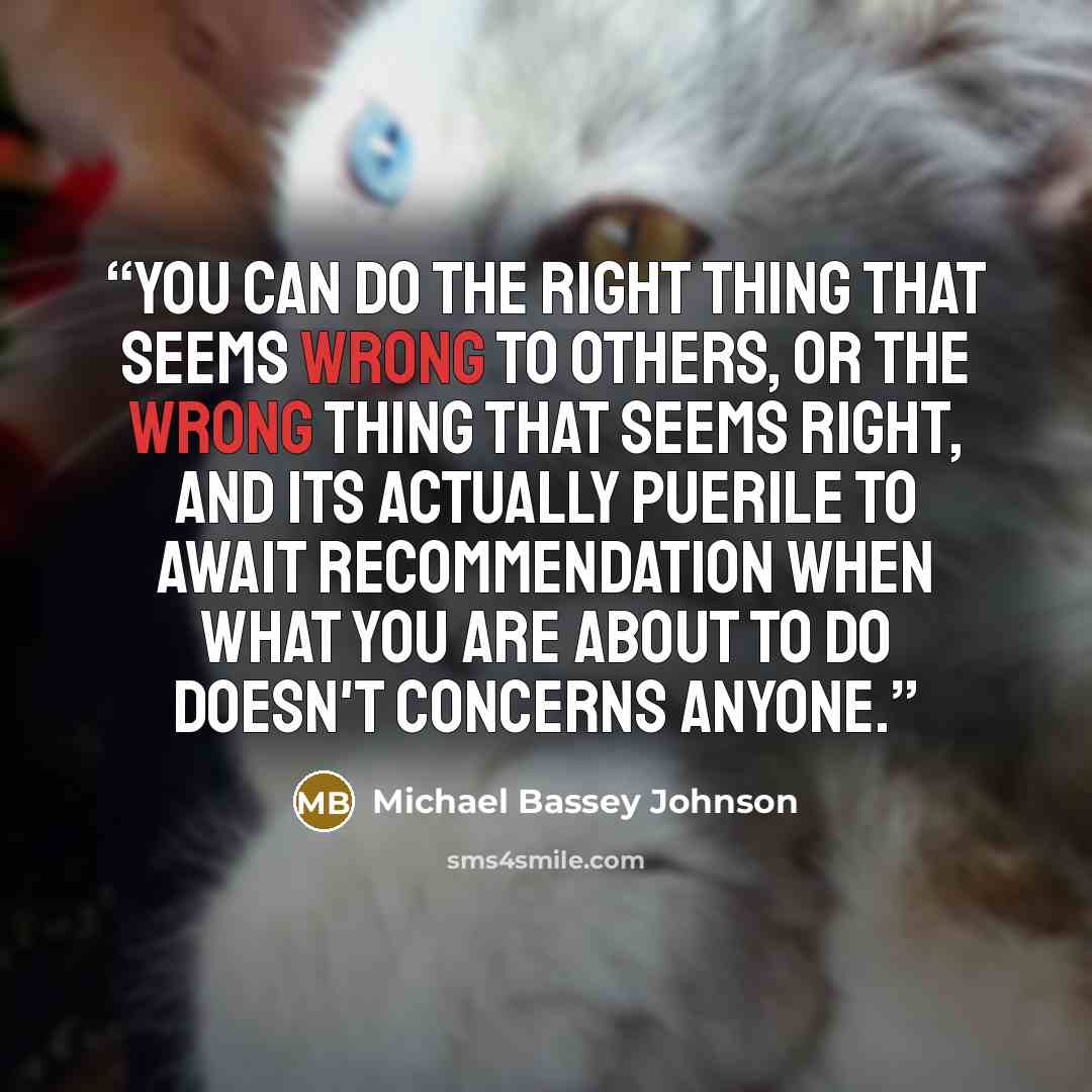 “You can do the right thing that seems wrong to others, or the wrong thing that seems right, and its actually puerile to await recommendation when what you are about to do doesn't concerns anyone.” quote by Michael Bassey Johnson